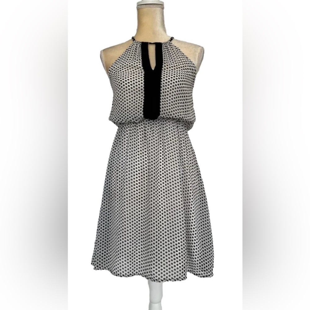 NWT H and M Lined Chiffon Print Dress 4